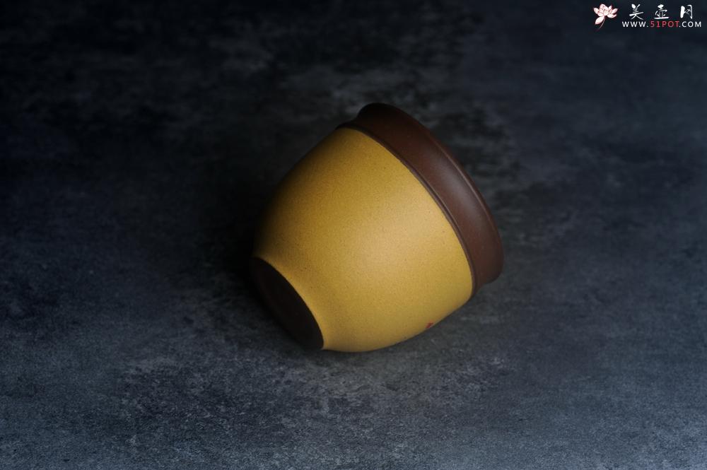 紫砂壶图片：美美杯特惠 精致花鸟紫砂杯 紫泥粉黄金段泥主人杯 茶杯 特文气 - 美壶网