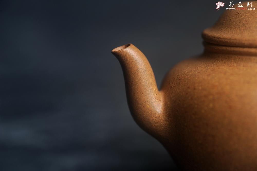 紫砂壶图片：美壶特惠 油润五彩段泥莲子宫灯壶 - 美壶网