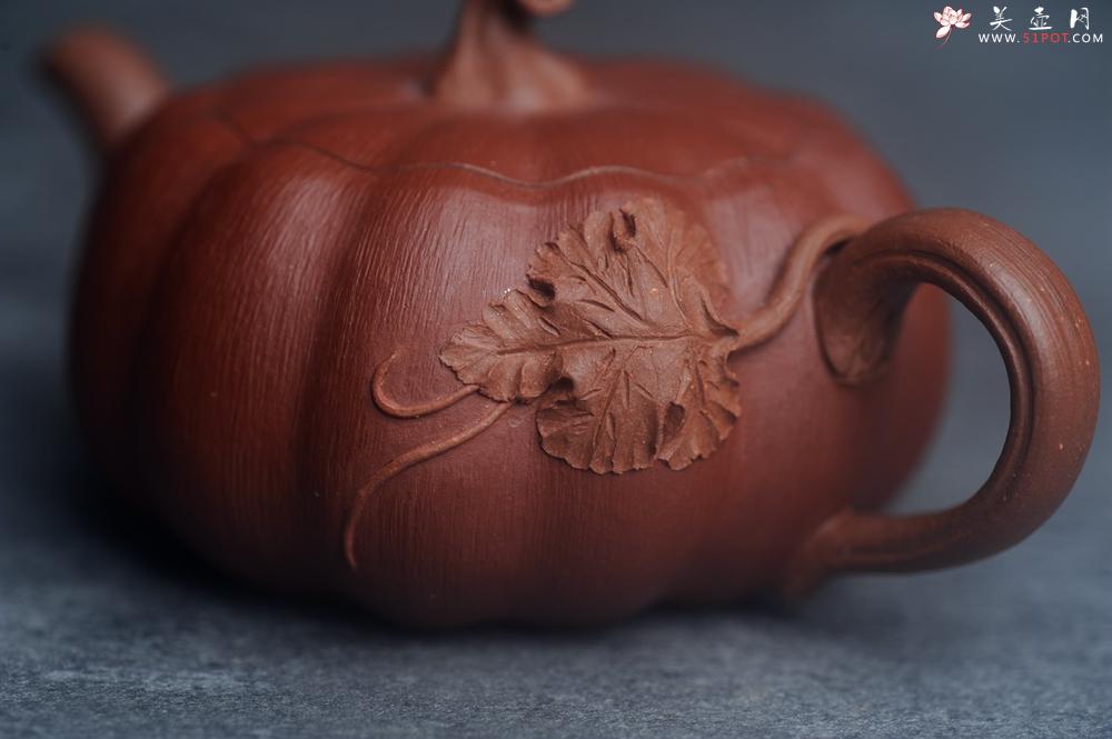 紫砂壶图片：美壶福利特惠 美壶专属定制 精致好料迷你小南瓜紫砂壶  肌理丰富生动 - 美壶网
