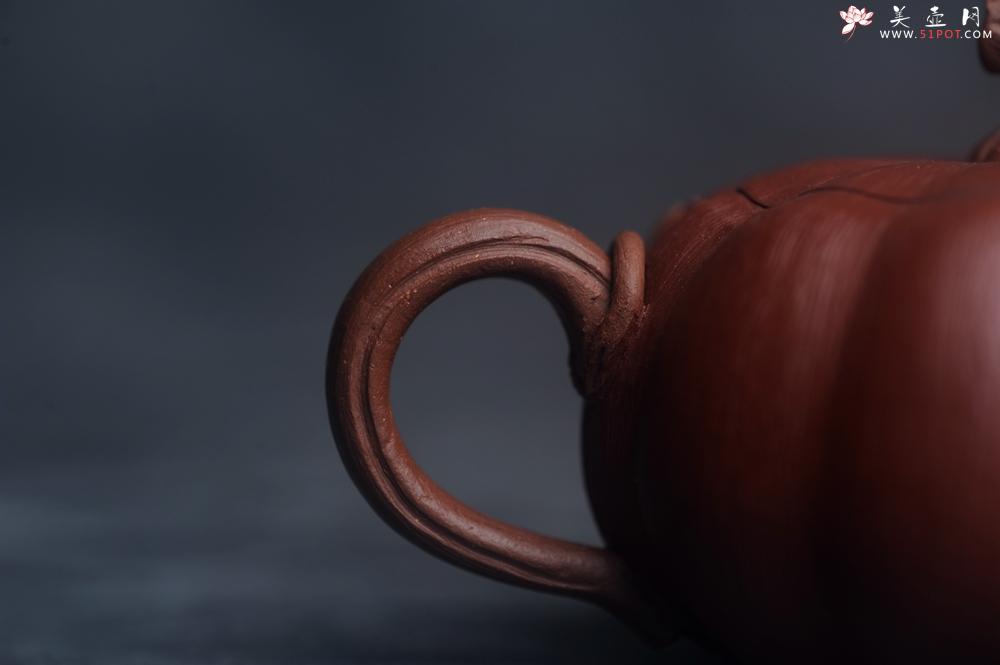 紫砂壶图片：美壶福利特惠 美壶专属定制 精致好料迷你小南瓜紫砂壶  肌理丰富生动 - 美壶网