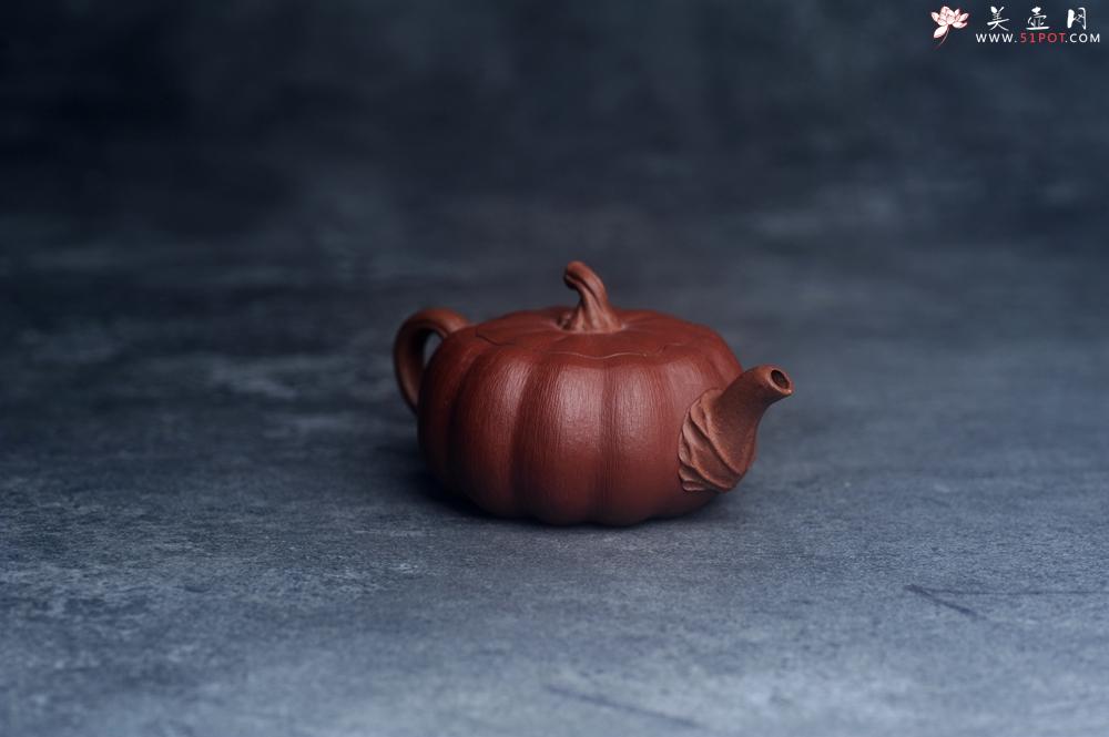 紫砂壶图片：美壶福利特惠 美壶专属定制 精致好料迷你小南瓜紫砂壶  肌理丰富生动 - 美壶网