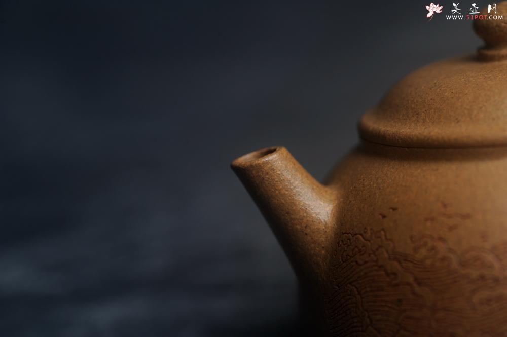 紫砂壶图片：美壶特惠 特好五彩段泥小美壶 装饰文雅 海纳百川 - 美壶网