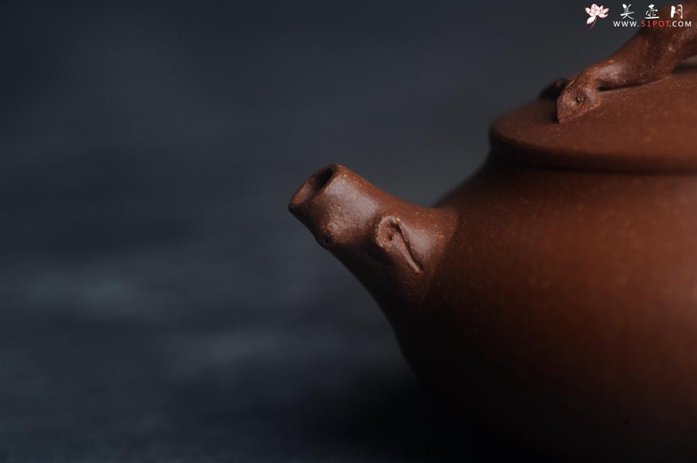 紫砂壶图片:美壶特惠 特好降坡泥扁豆壶 肌理丰富生动 - 美壶网