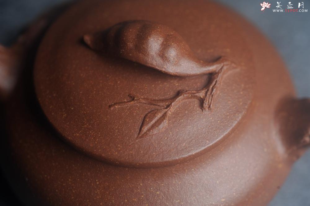 紫砂壶图片:美壶特惠 特好降坡泥扁豆壶 肌理丰富生动 - 美壶网