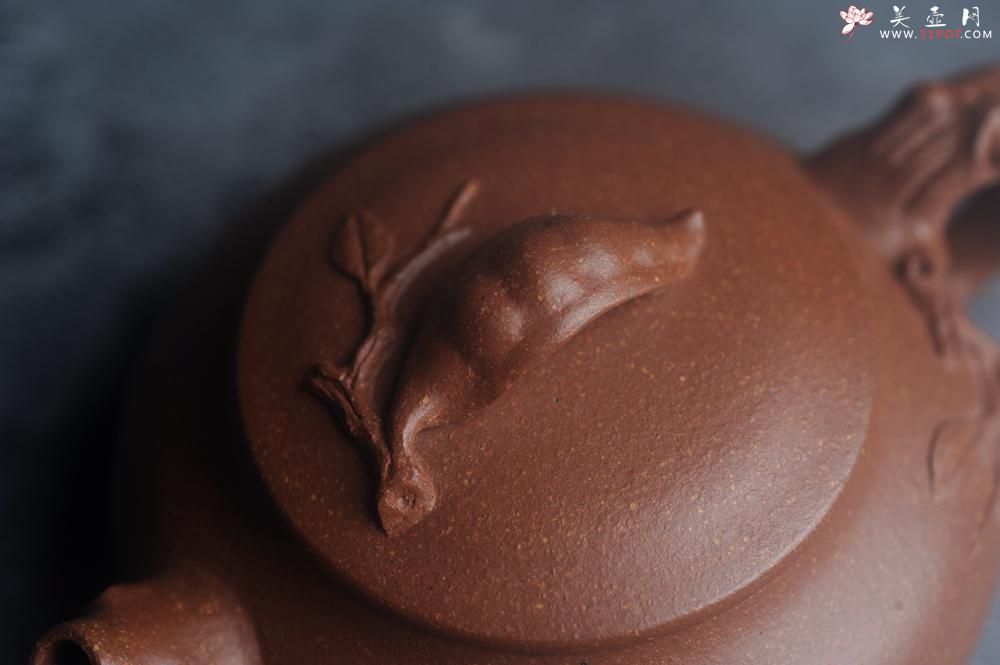 紫砂壶图片:美壶特惠 特好降坡泥扁豆壶 肌理丰富生动 - 美壶网