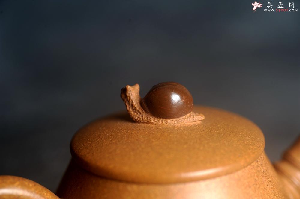 紫砂壶图片：美壶特惠 特好老段泥蜗牛居竹壶 茶人醉爱 - 美壶网