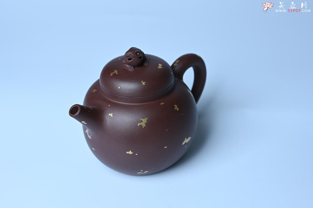 紫砂壶图片：潜力股周小培 全手工原创招财壶200cc 金蟾屹立于壶盖 撒金工艺铺满壶身 寓意黄金落满地 招财进宝 - 美壶网