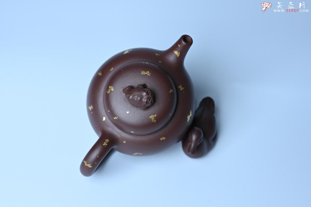 紫砂壶图片：潜力股周小培 全手工原创招财壶200cc 金蟾屹立于壶盖 撒金工艺铺满壶身 寓意黄金落满地 招财进宝 - 美壶网