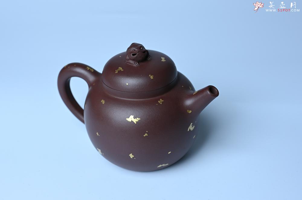 紫砂壶图片：潜力股周小培 全手工原创招财壶200cc 金蟾屹立于壶盖 撒金工艺铺满壶身 寓意黄金落满地 招财进宝 - 美壶网