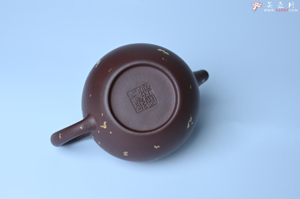 紫砂壶图片：潜力股周小培 全手工原创招财壶200cc 金蟾屹立于壶盖 撒金工艺铺满壶身 寓意黄金落满地 招财进宝 - 美壶网