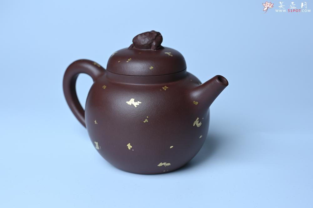 紫砂壶图片：潜力股周小培 全手工原创招财壶200cc 金蟾屹立于壶盖 撒金工艺铺满壶身 寓意黄金落满地 招财进宝 - 美壶网