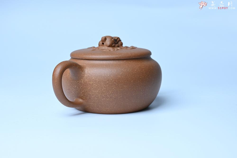 紫砂壶图片：美壶特惠 优质降坡泥花鸟听兔壶 茶人醉爱 - 美壶网