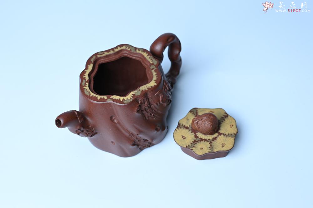 紫砂壶图片：美壶特惠 精品底槽青全手工留痕壶 细节生动 - 美壶网