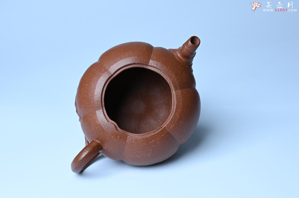 紫砂壶图片:美壶特惠 特好降坡泥南瓜壶 肌理丰富生动 茶人醉爱 - 美壶网