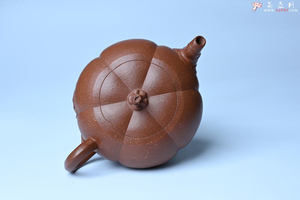 紫砂壶图片:美壶特惠 特好降坡泥南瓜壶 肌理丰富生动 茶人醉爱 - 美壶网