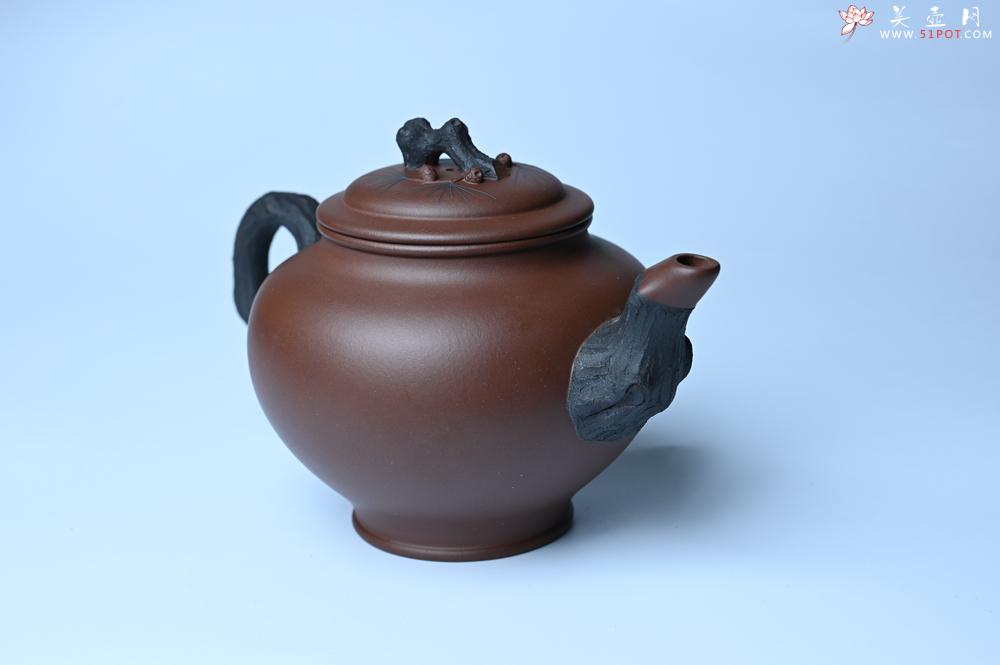 紫砂壶图片：美壶特惠 精致报春系列之松报春壶 - 美壶网