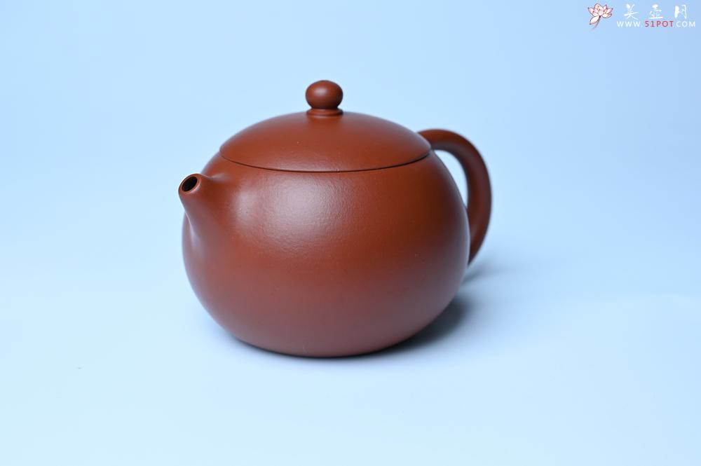 紫砂壶图片：美壶特惠 油润大红袍朱泥 小品西施壶 茶人醉爱 - 美壶网