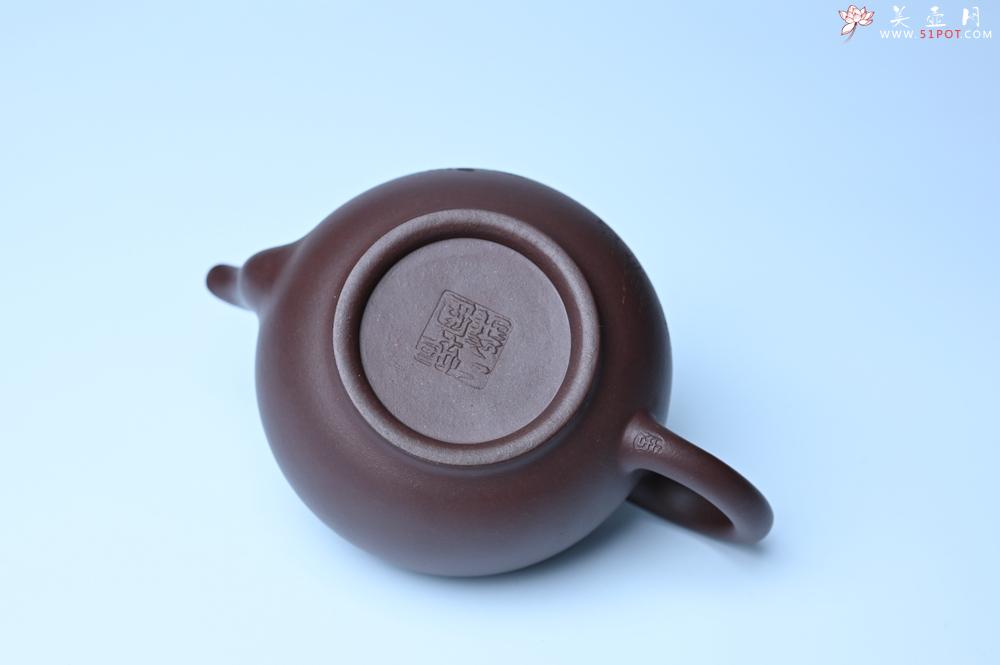 紫砂壶图片：油润黄龙山底槽青 全手工熹微壶 文气装饰 虎啸山林 期待与您结缘 - 美壶网