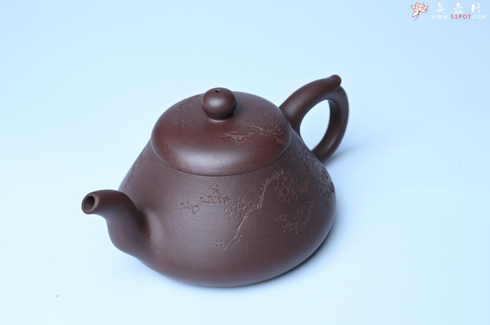 紫砂壶图片：潜力股周小培老师 全手工底槽青缘德壶 装饰通转梅花特文气 期待与您结缘 - 美壶网