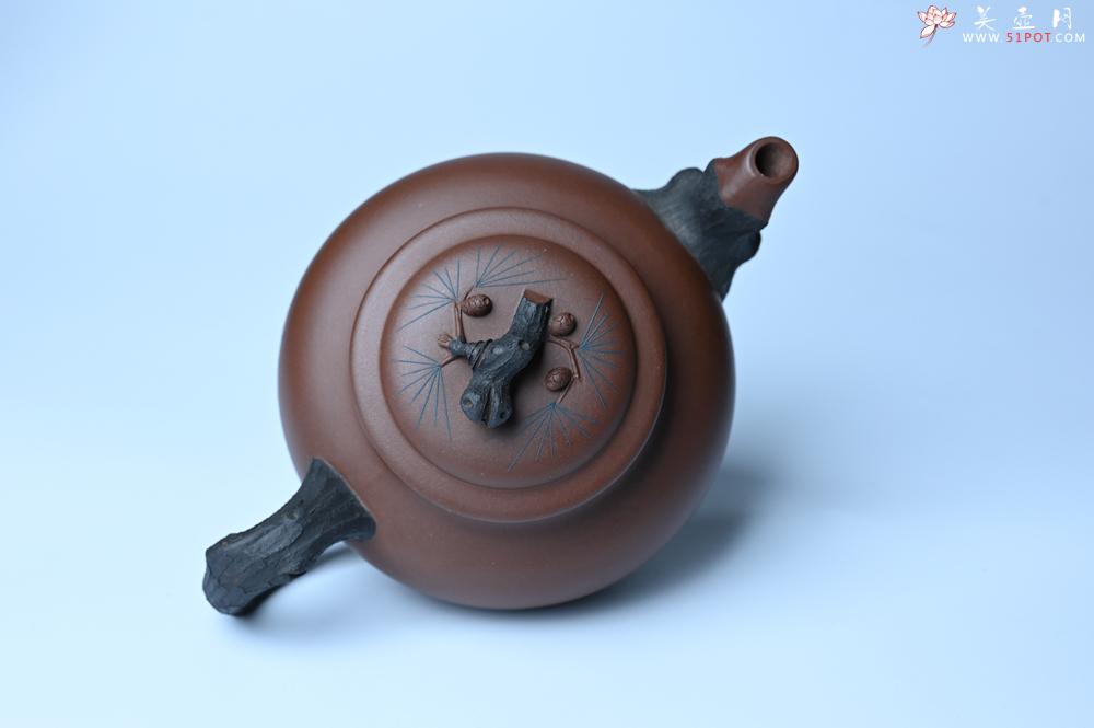 紫砂壶图片：美壶特惠 精致报春系列之松报春壶 - 美壶网