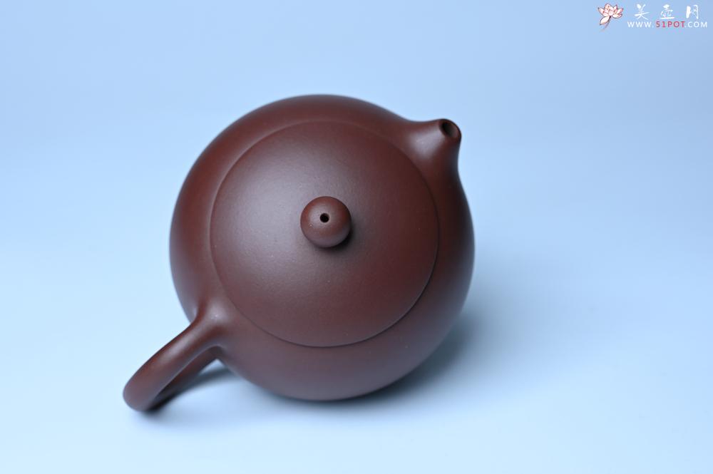 紫砂壶图片：美壶福利特惠 精工西施 泥料优秀 - 美壶网