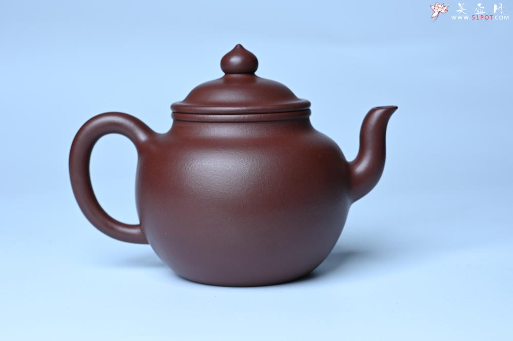 紫砂壶图片：油润黄龙山4号深井红皮龙 全手工高宫灯壶 东西灰常赞 - 美壶网