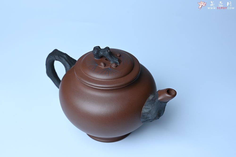 紫砂壶图片：美壶特惠 精致报春系列之松报春壶 - 美壶网