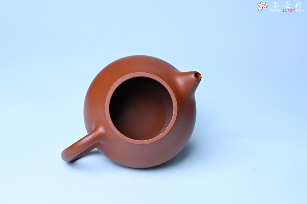 紫砂壶图片：美壶特惠定制最新实用力作 优质精致朱泥文旦壶 养后特润 - 美壶网