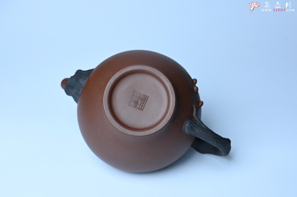 紫砂壶图片：美壶特惠 精致报春系列之松报春壶 - 美壶网