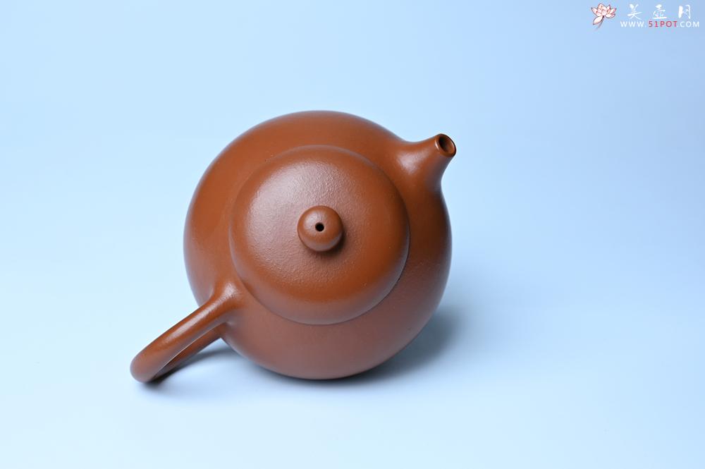 紫砂壶图片：潜力股周小培 油润黄龙山朱泥 全手工文旦壶 壶特好 期待与您结缘 - 美壶网