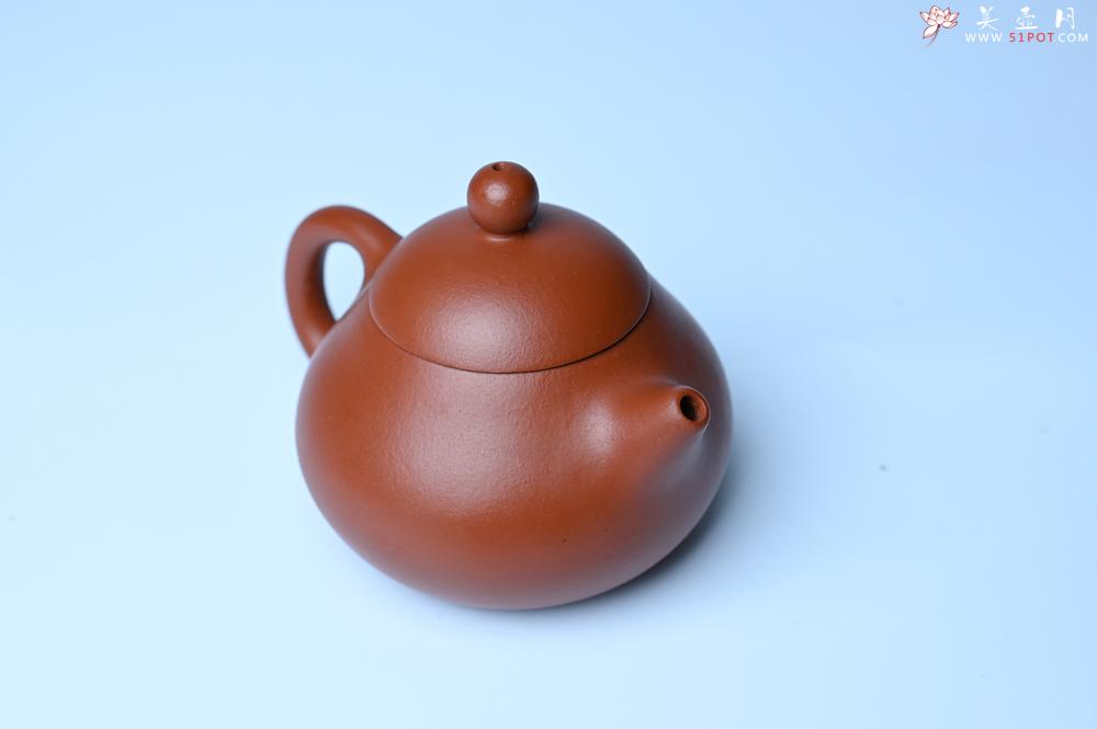 紫砂壶图片：美壶特惠定制最新实用力作 优质精致朱泥文旦壶 养后特润 - 美壶网