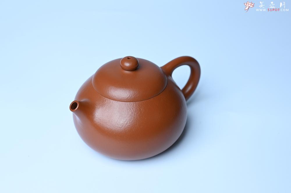 紫砂壶图片：潜力股周小培 油润黄龙山朱泥 全手工文旦壶 壶特好 期待与您结缘 - 美壶网