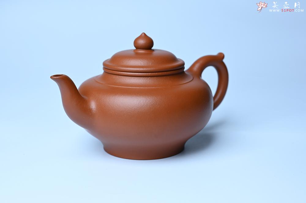 紫砂壶图片：潜力股周小培全手工演绎朱泥笑樱壶 中品难度大 - 美壶网