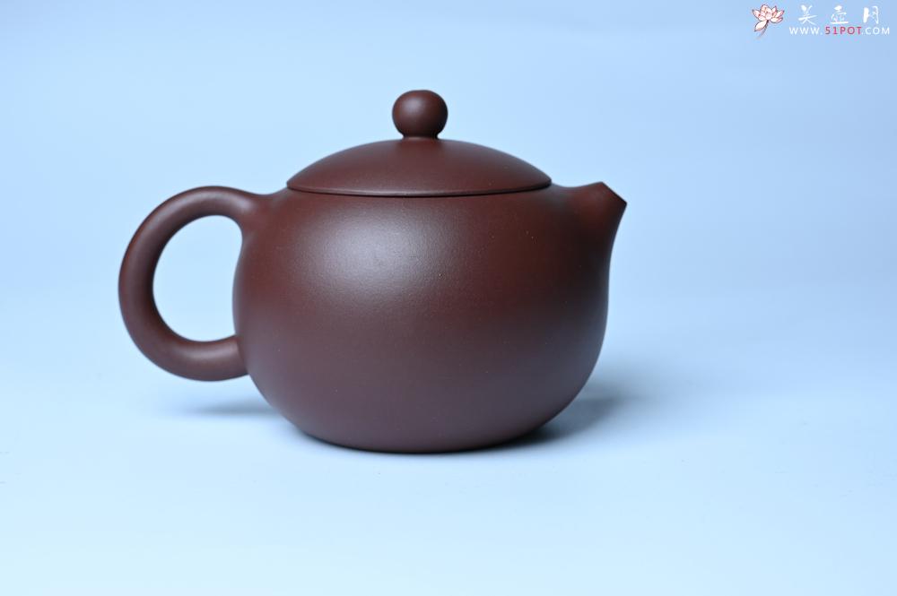 紫砂壶图片：美壶福利特惠 精工西施 泥料优秀 - 美壶网