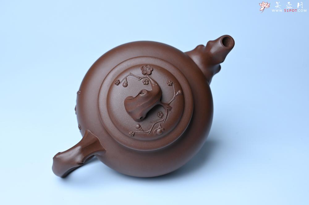 紫砂壶图片：美壶特惠 精致报春系列之梅花报春壶 - 美壶网