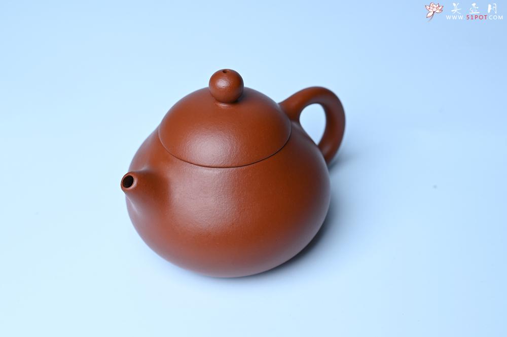 紫砂壶图片：美壶特惠定制最新实用力作 优质精致朱泥文旦壶 养后特润 - 美壶网