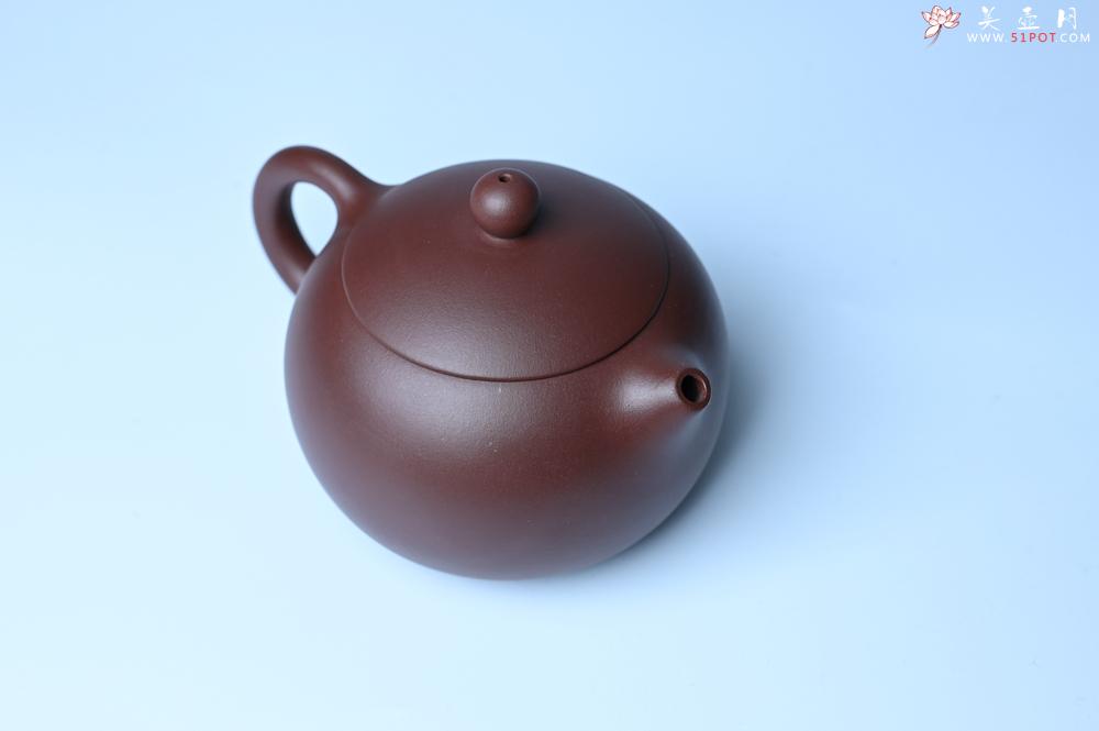 紫砂壶图片：美壶福利特惠 精工西施 泥料优秀 - 美壶网