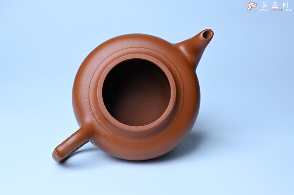 紫砂壶图片：潜力股周小培全手工演绎朱泥笑樱壶 中品难度大 - 美壶网