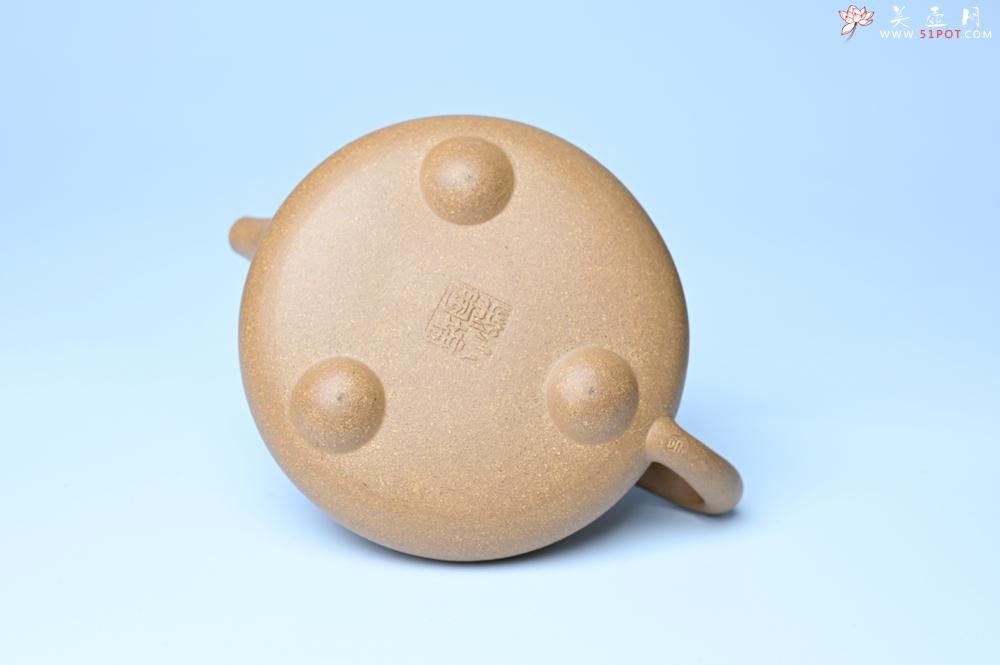 紫砂壶图片：潜力股周小培全手工老黄段泥（家藏老料 油润无比 识者自知）景舟石瓢 装饰鳜鱼图 双贵图 寓意富贵如意 - 美壶网