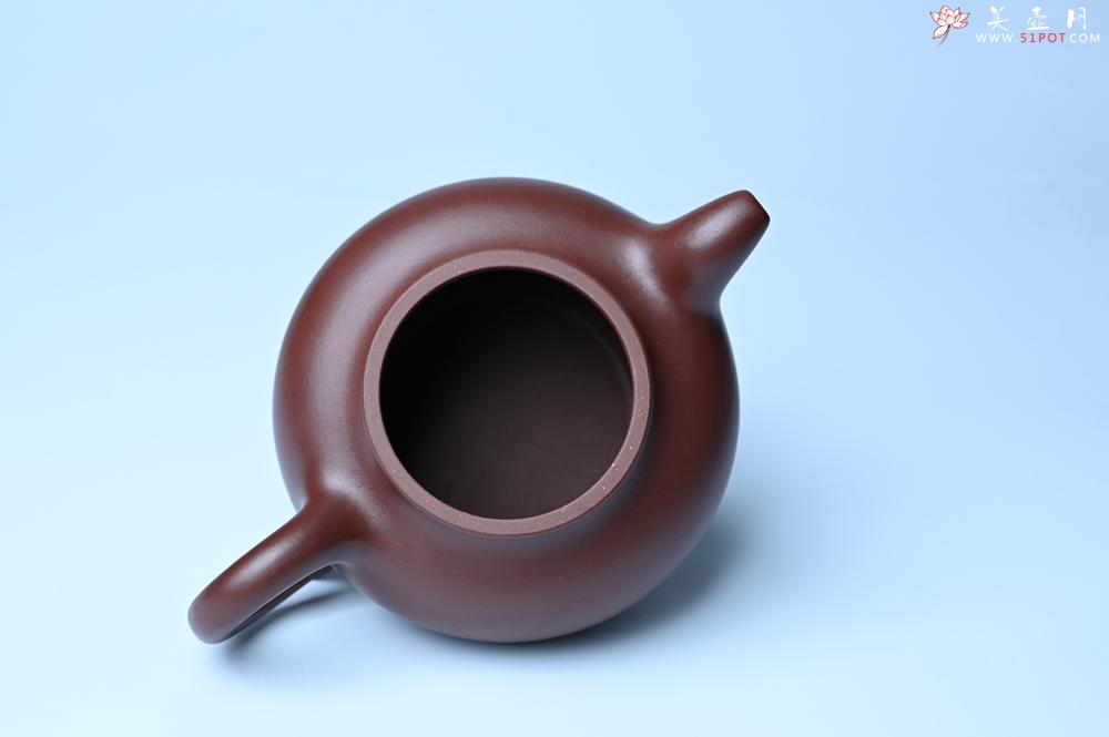 紫砂壶图片：潜力股周小培老师 4号井深井红皮龙 超精致全手工莲子茶壶 - 美壶网
