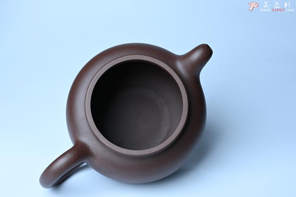 紫砂壶图片：美壶特惠 精致大掇只壶 大品气势恢宏 茶人醉爱 - 美壶网