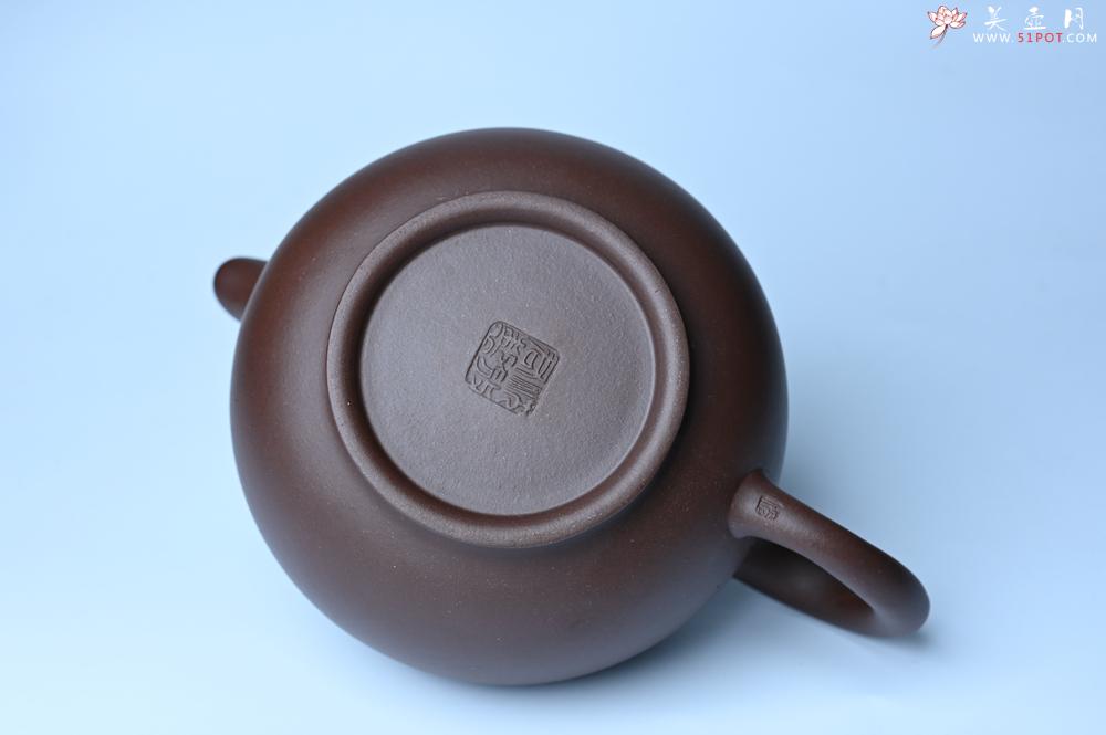 紫砂壶图片：美壶特惠 精致大掇只壶 大品气势恢宏 茶人醉爱 - 美壶网