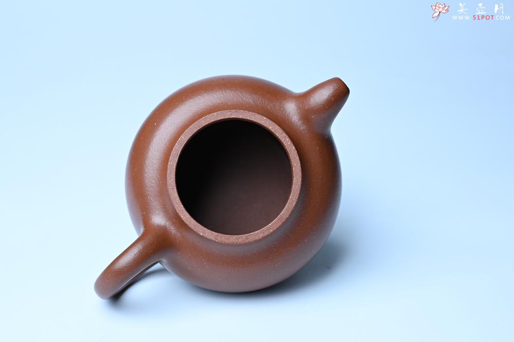 紫砂壶图片：潜力股周小培老师 油润降坡泥全手工茄瓜壶 - 美壶网