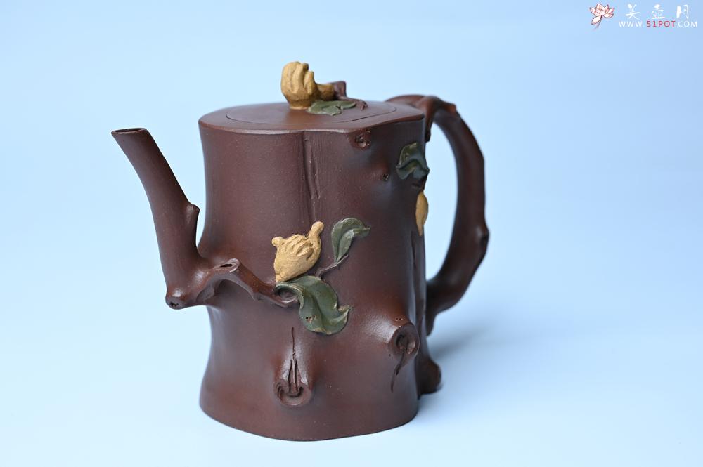 紫砂壶图片：潜力股赵老师 优质紫泥全手工佛手桩紫砂壶 三色帖叶生动 佛手灵动 - 美壶网