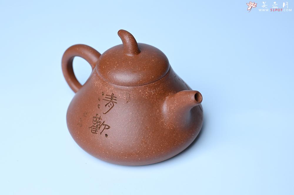 紫砂壶图片：美壶特惠 潜力股王老师 全手工拍打成型茄瓢壶 装饰枯枝鸟 特文气 - 美壶网