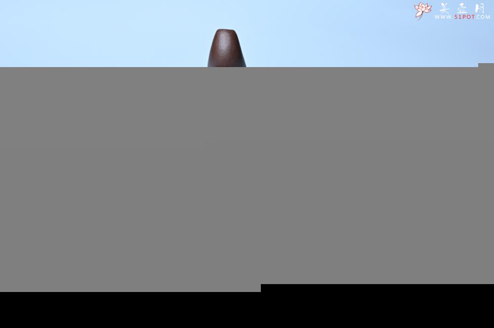 紫砂壶图片：美壶特惠 手工手制精致老紫泥提梁壶 茶人醉爱 - 美壶网