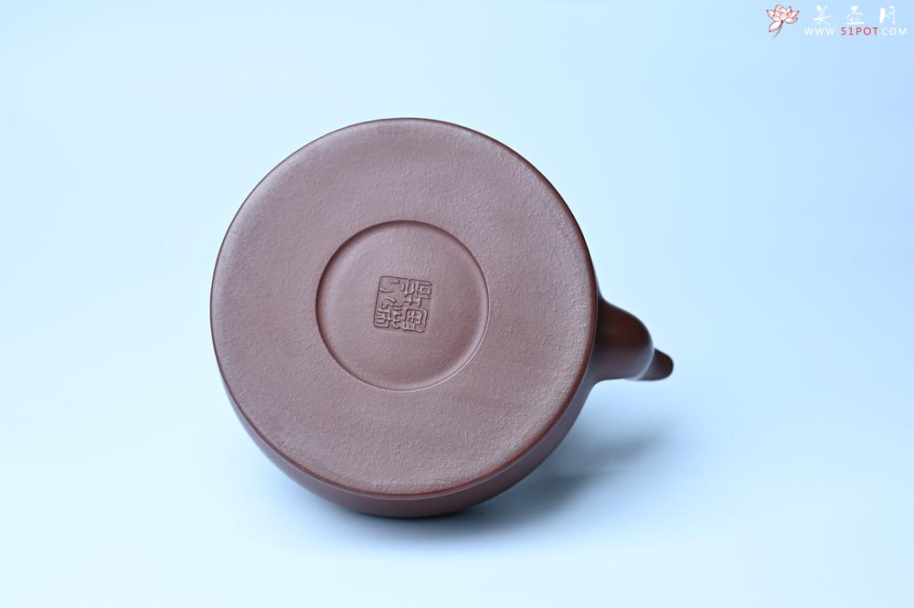 紫砂壶图片：潜力股周小培老师 4号井深井红皮龙 超精致全手工天星提梁壶 - 美壶网