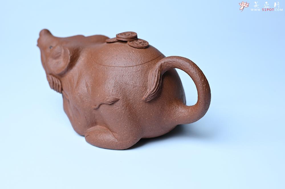 紫砂壶图片：美壶特惠 优质降坡泥鼠你有钱壶壶 茶人醉爱 - 美壶网