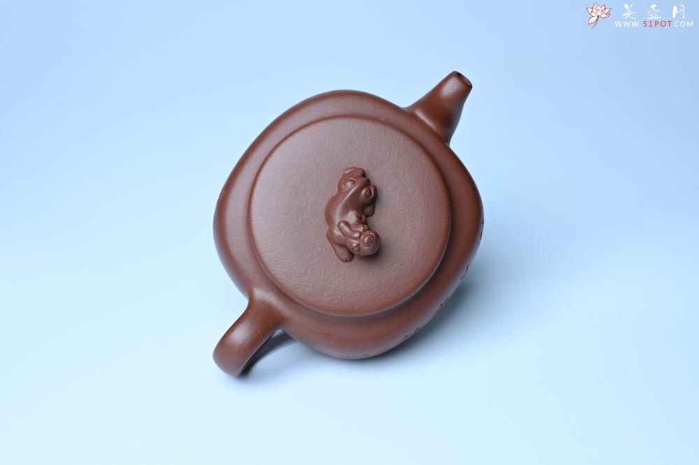 紫砂壶图片：美壶特惠 精致优质紫泥祥瑞壶 难度大 茶人醉爱 - 美壶网