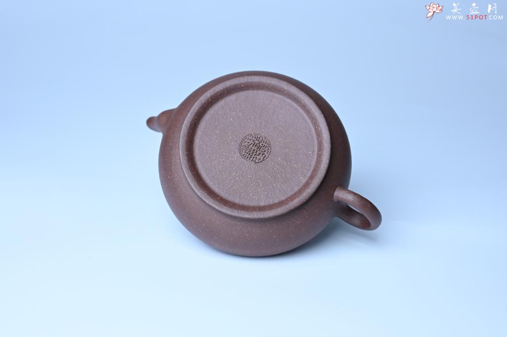 紫砂壶图片：美壶特惠 特好紫泥扁玉壶 装饰不老松 文气十足 - 美壶网